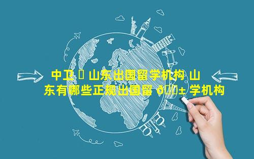 中卫 ☘ 山东出国留学机构 山东有哪些正规出国留 🐱 学机构
